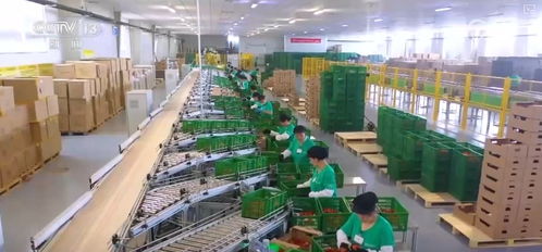 长沙软件开发在推动农业适度规模经营与促进小农户融入现代农业中的作用